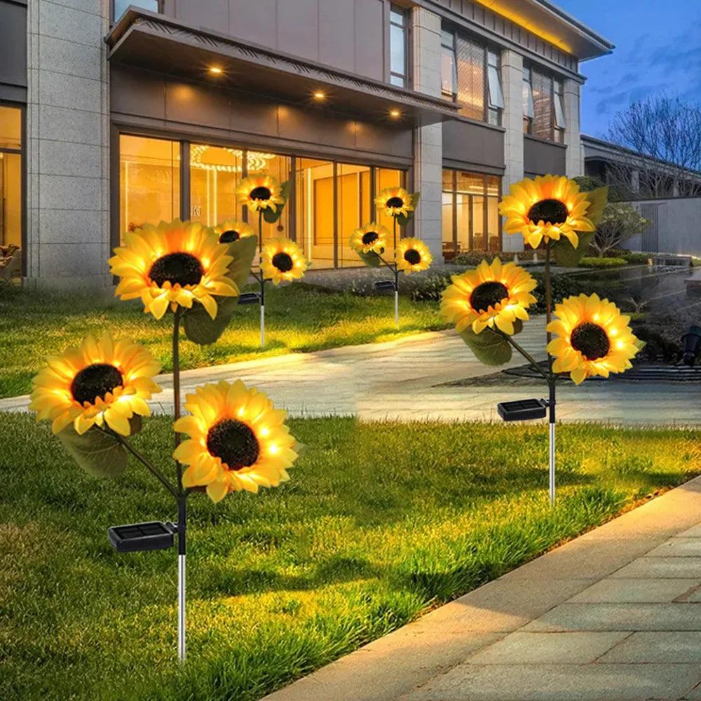 Luzes de Girassol